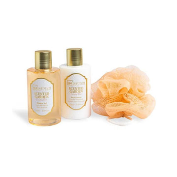 IDC INSTITUTE Scented Garden Country Rose